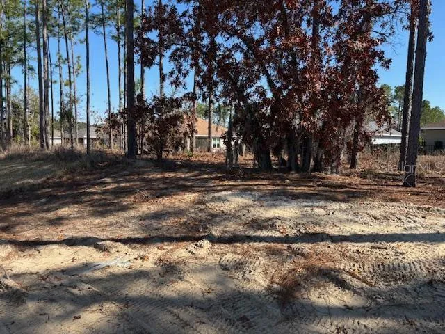 a view of a backyard of the house
