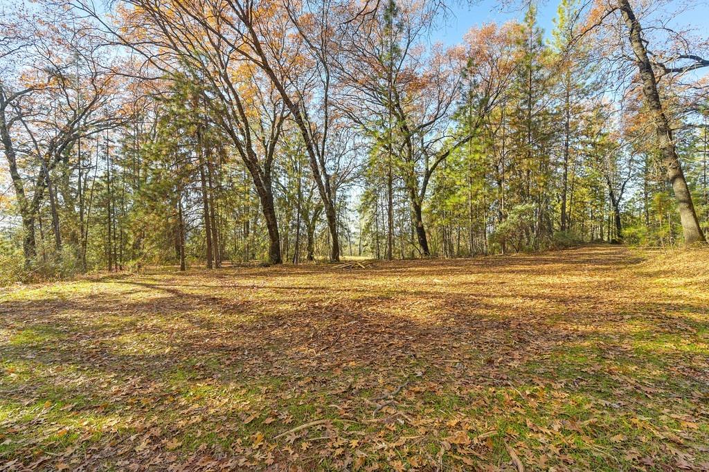 23050 Retherford Road Auburn, CA 95602 - Photo 21 of 39 a view of outdoor space with yard