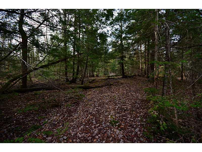 0 Williams Road Bradford, ME 04410 - Photo 23 of 35 Other. Maine timber land for sale