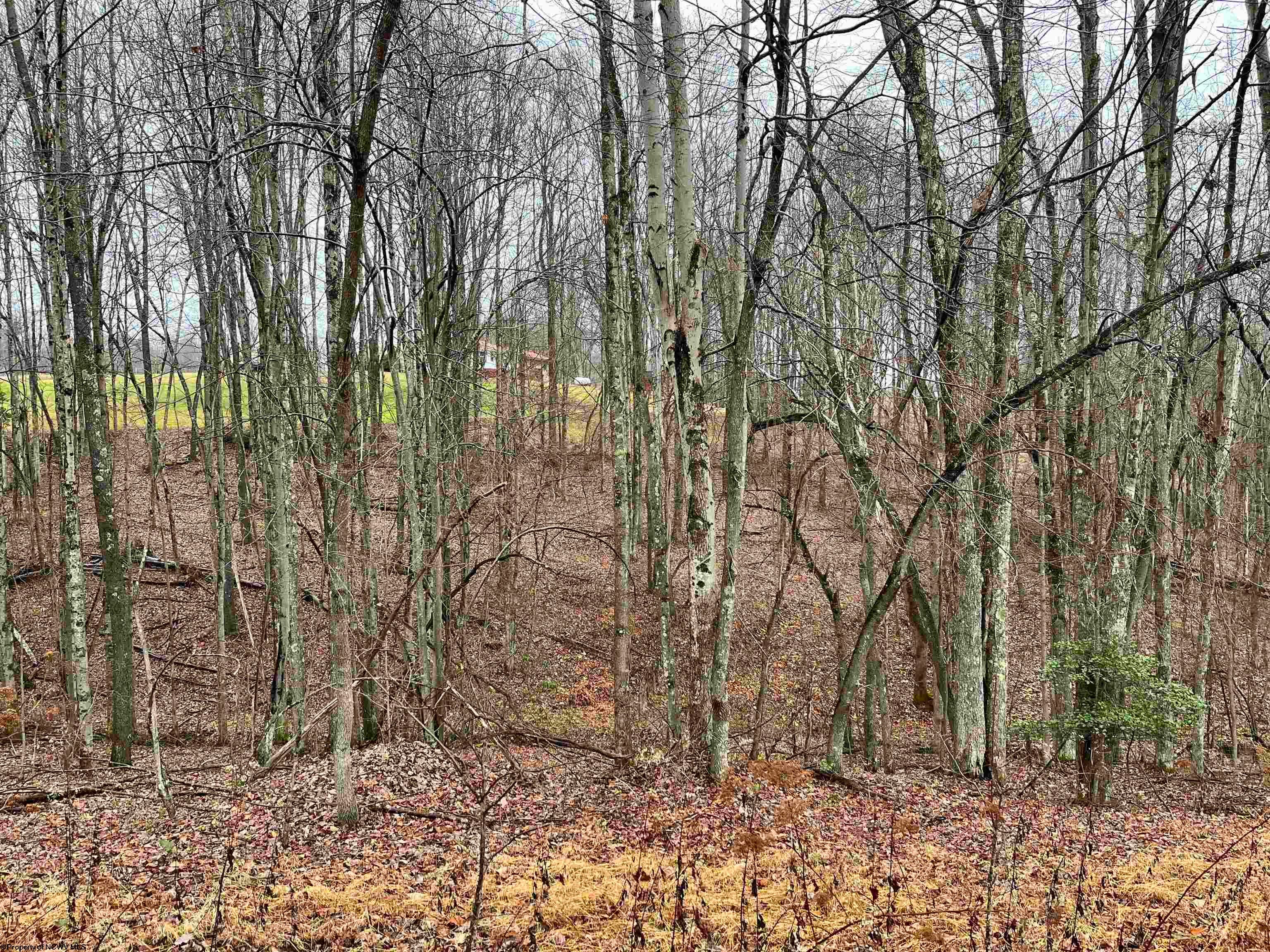 9179 Alexander Road French Creek, WV 26218 - Photo 37 of 50 Gallery Image 37