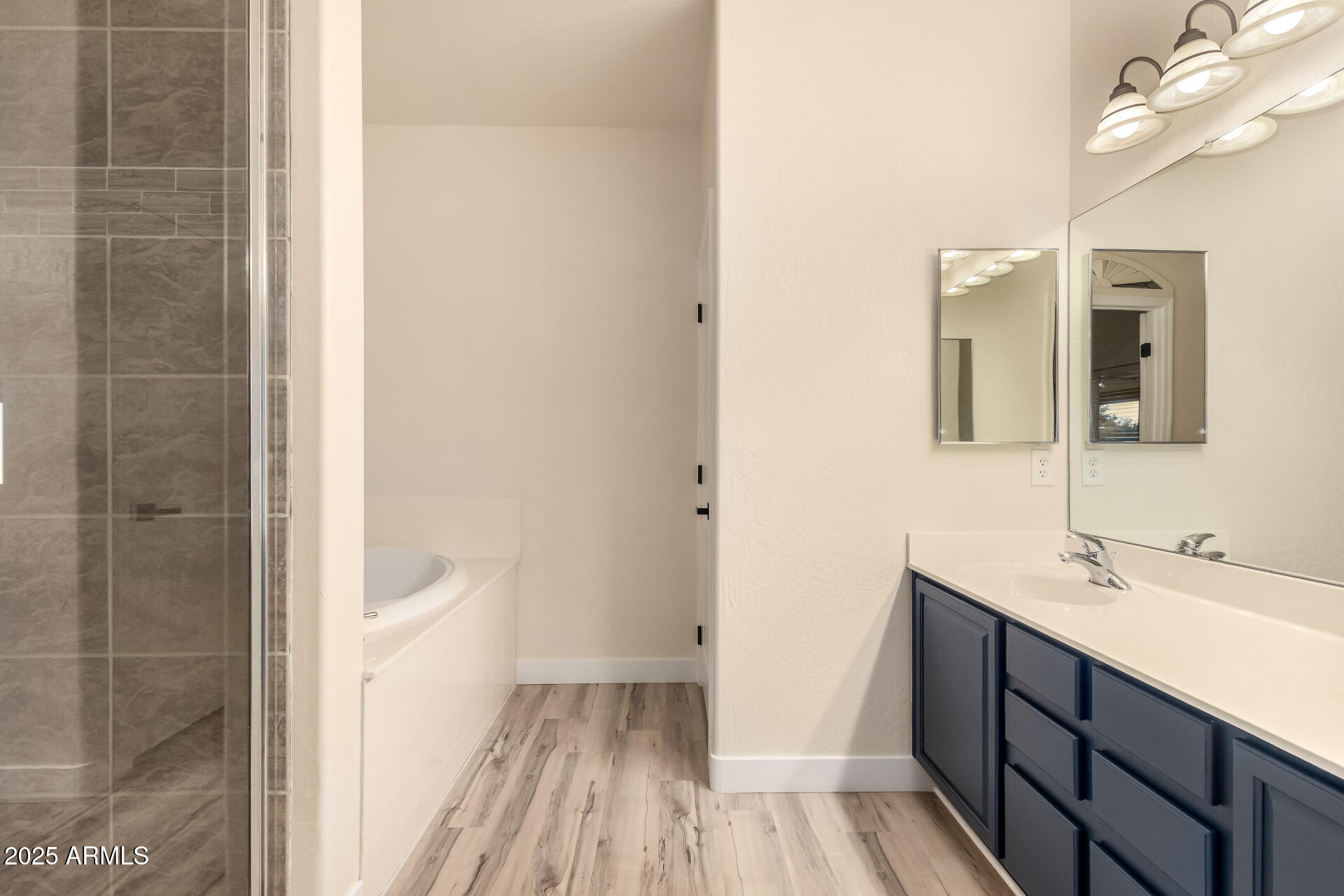 4273 South 165th Way Gilbert, AZ 85297 - Photo 23 of 56 a bathroom with a sink a toilet and shower
