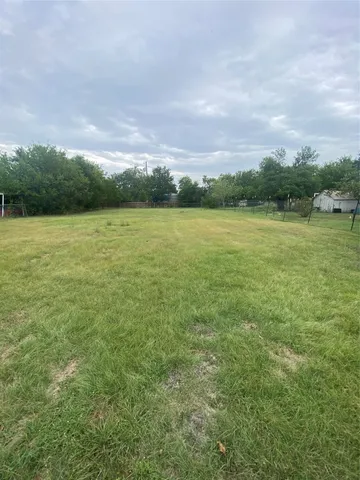 a backyard of a house with plants and large tree