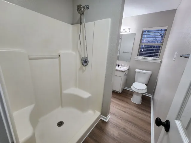 a bathroom with a shower and toilet