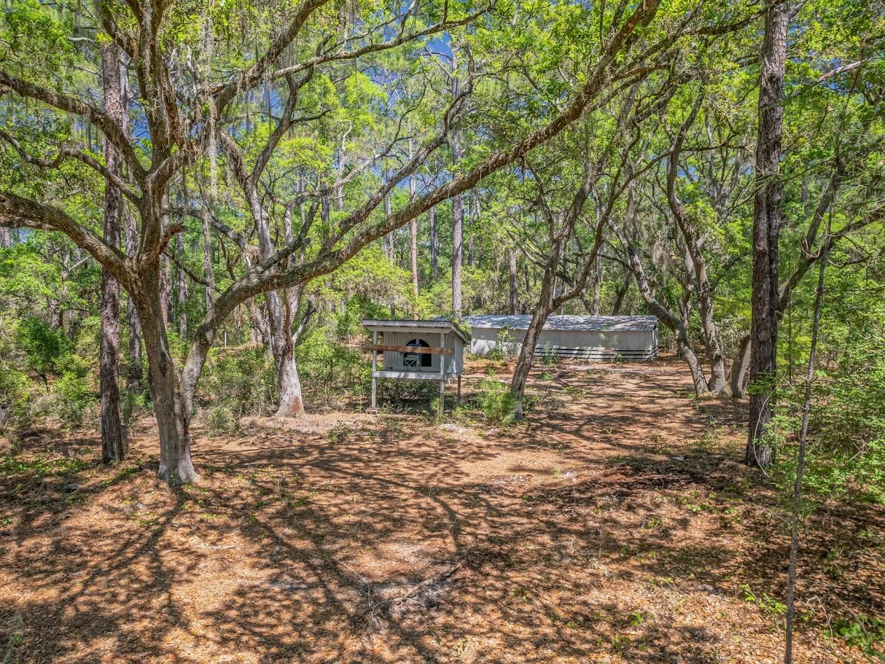 123 Carter Road Crawfordville, FL 32327 - Photo 37 of 39