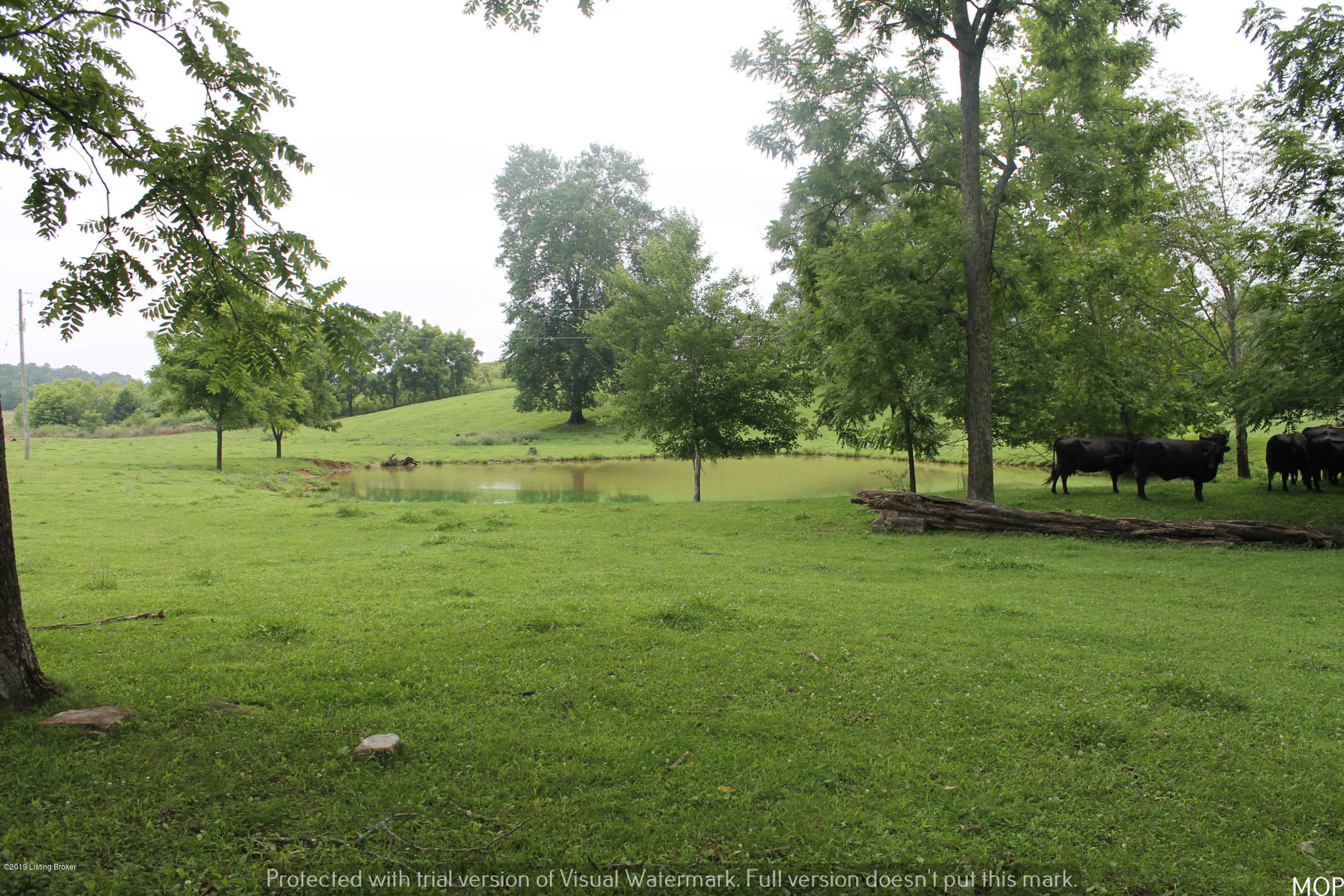 1503 Pikeview Road Magnolia, KY 42757 - Photo 19 of 28 IMG_2238
