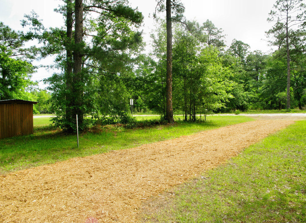 1968 Friendly Middleburg, FL 32068 - Photo 14 of 14 Yard