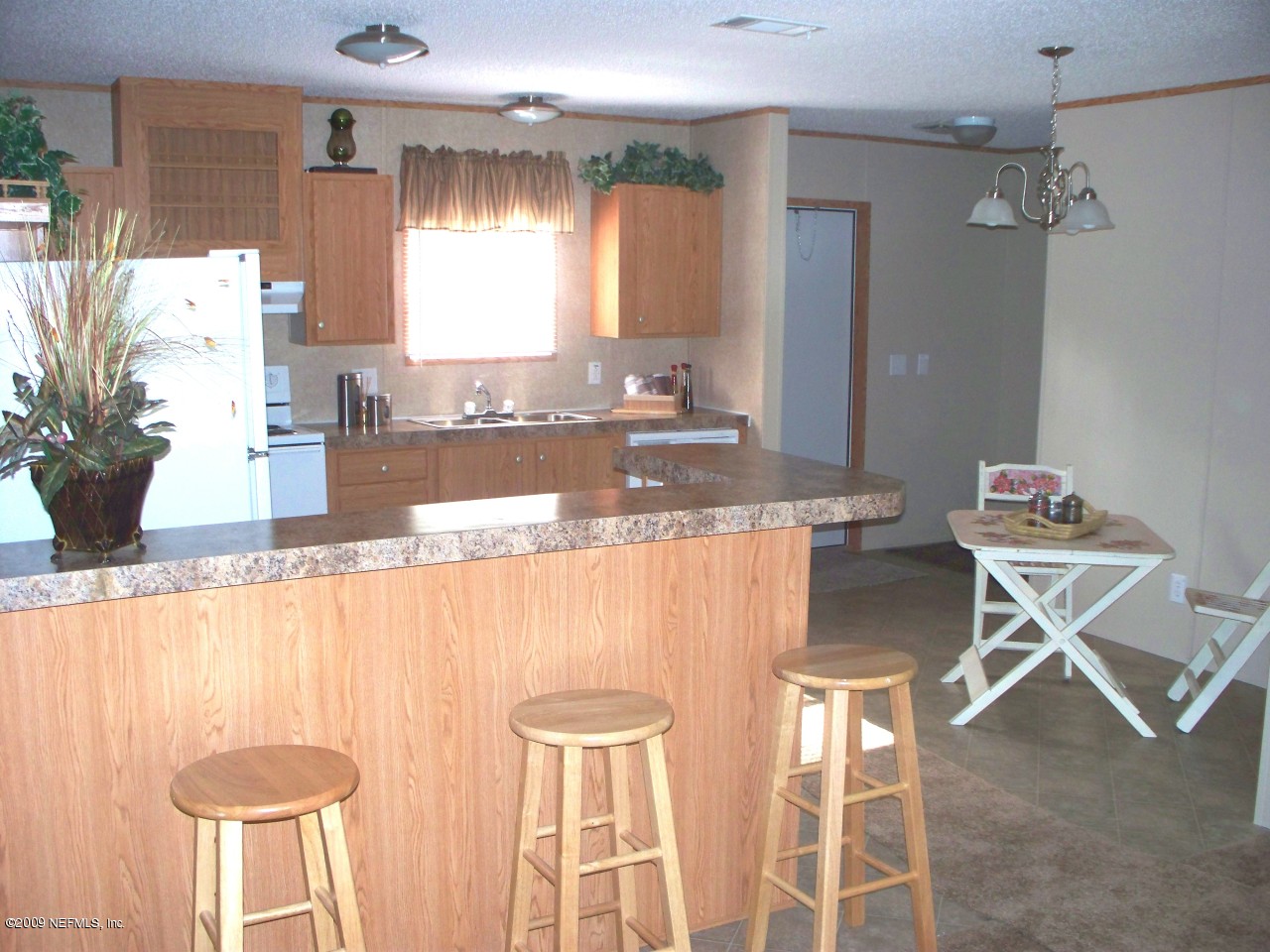 Kitchen /Bar area
