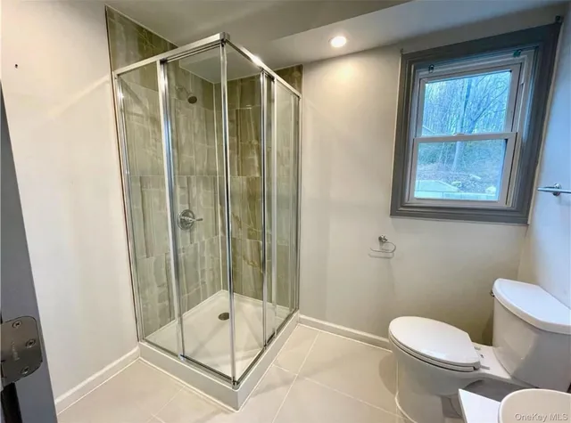 a bathroom with a shower and a toilet