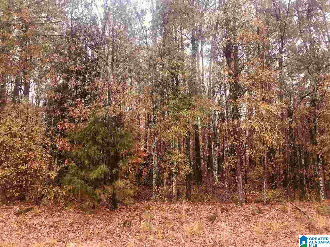 0 Kirby Road, Unit 2 2 Oxford, AL 36203 - Photo 2 of 8