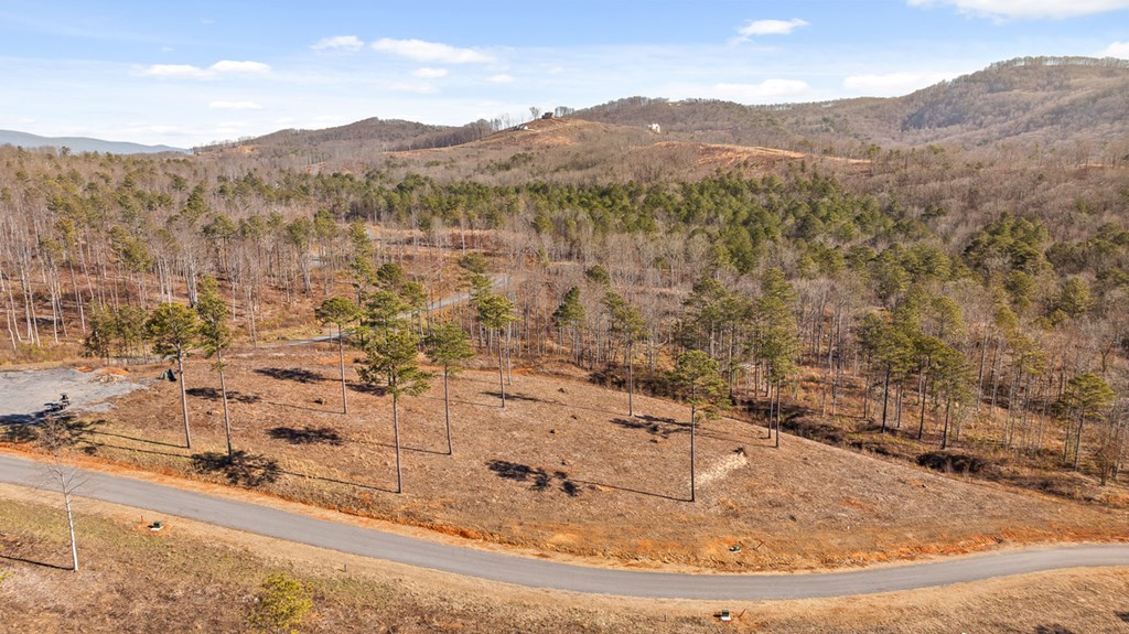 Lot 293 Twisted Oak Road Talking Rock, GA 30175 - Photo 9 of 46 Gallery Image 9