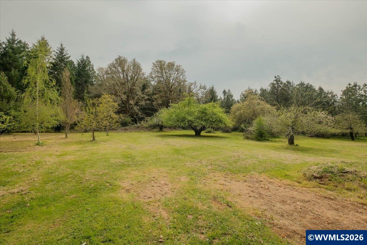 26825 Old Holley Road Sweet Home, OR 97386 - Photo 2 of 48