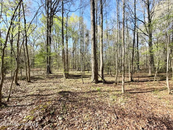 $69,500 | 1015 Lomax Lane, Crystal Springs, MS 39059