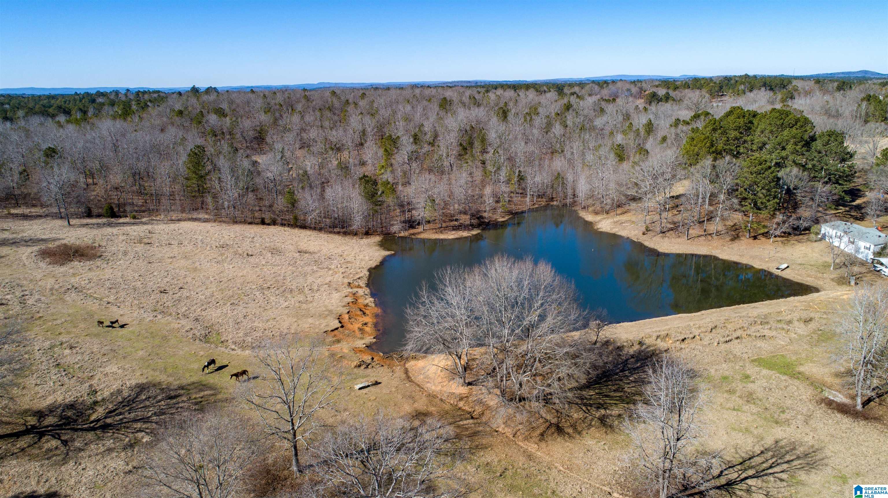 3086 Feddisburg Road, Unit ACREAGE SECTIONS 1 & 2 Alpine, AL 35014 - Photo 29 of 34