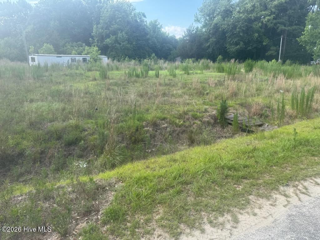 447 Jimmy Road Magnolia, NC 28453 - Photo 3 of 6