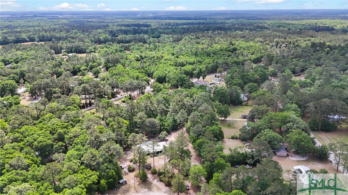 426 Shellie Helmey Road Guyton, GA 31312 - Photo 39 of 41 Aerial