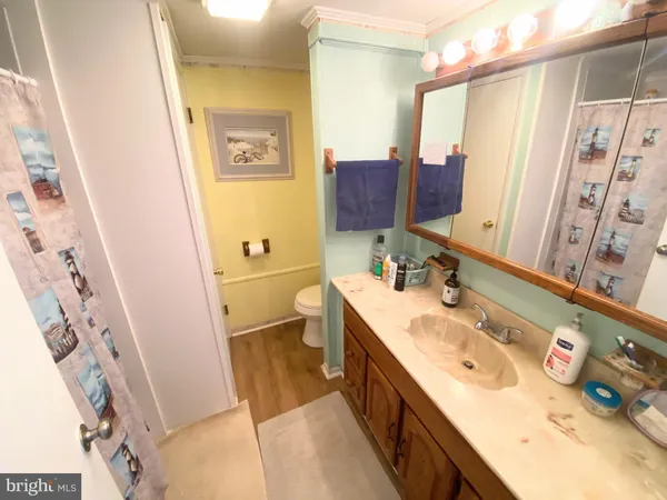 a bathroom with a sink mirror vanity and toilet