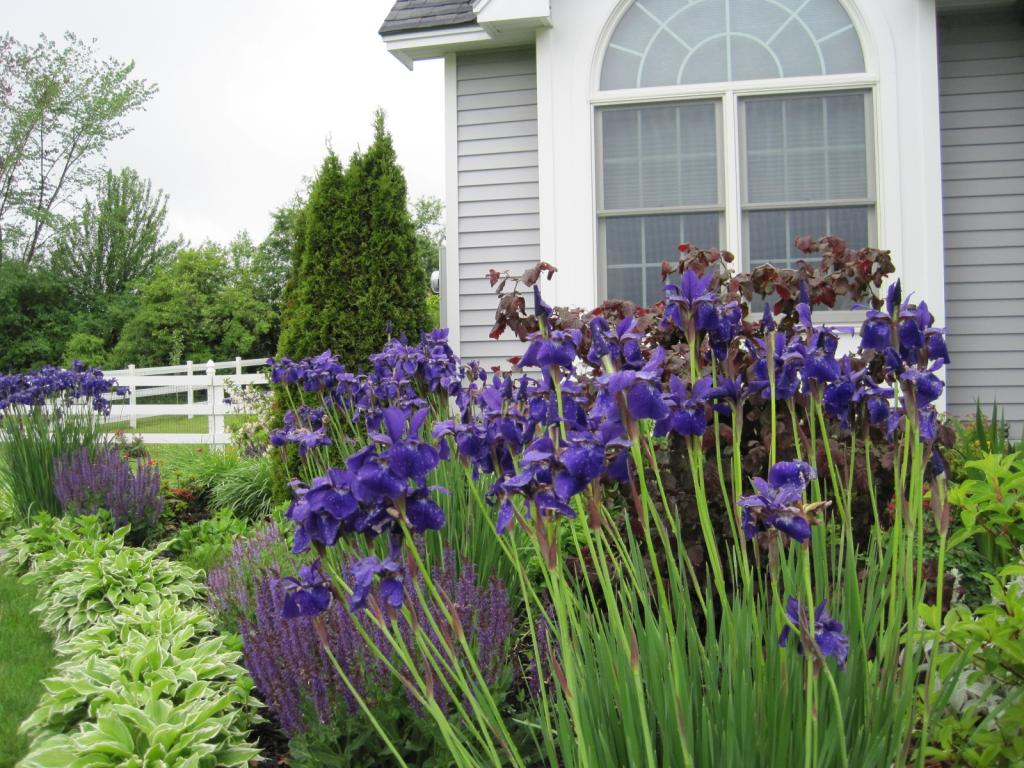 233 Murphy Road Charlotte, VT 05445 - Photo 29 of 35 Gallery Image 29