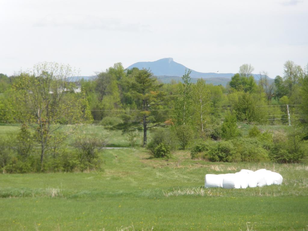 233 Murphy Road Charlotte, VT 05445 - Photo 33 of 35 Gallery Image 33