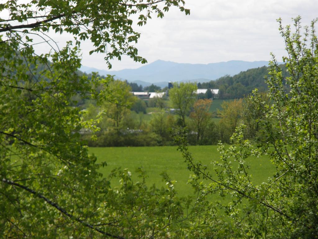 233 Murphy Road Charlotte, VT 05445 - Photo 34 of 35 Gallery Image 34