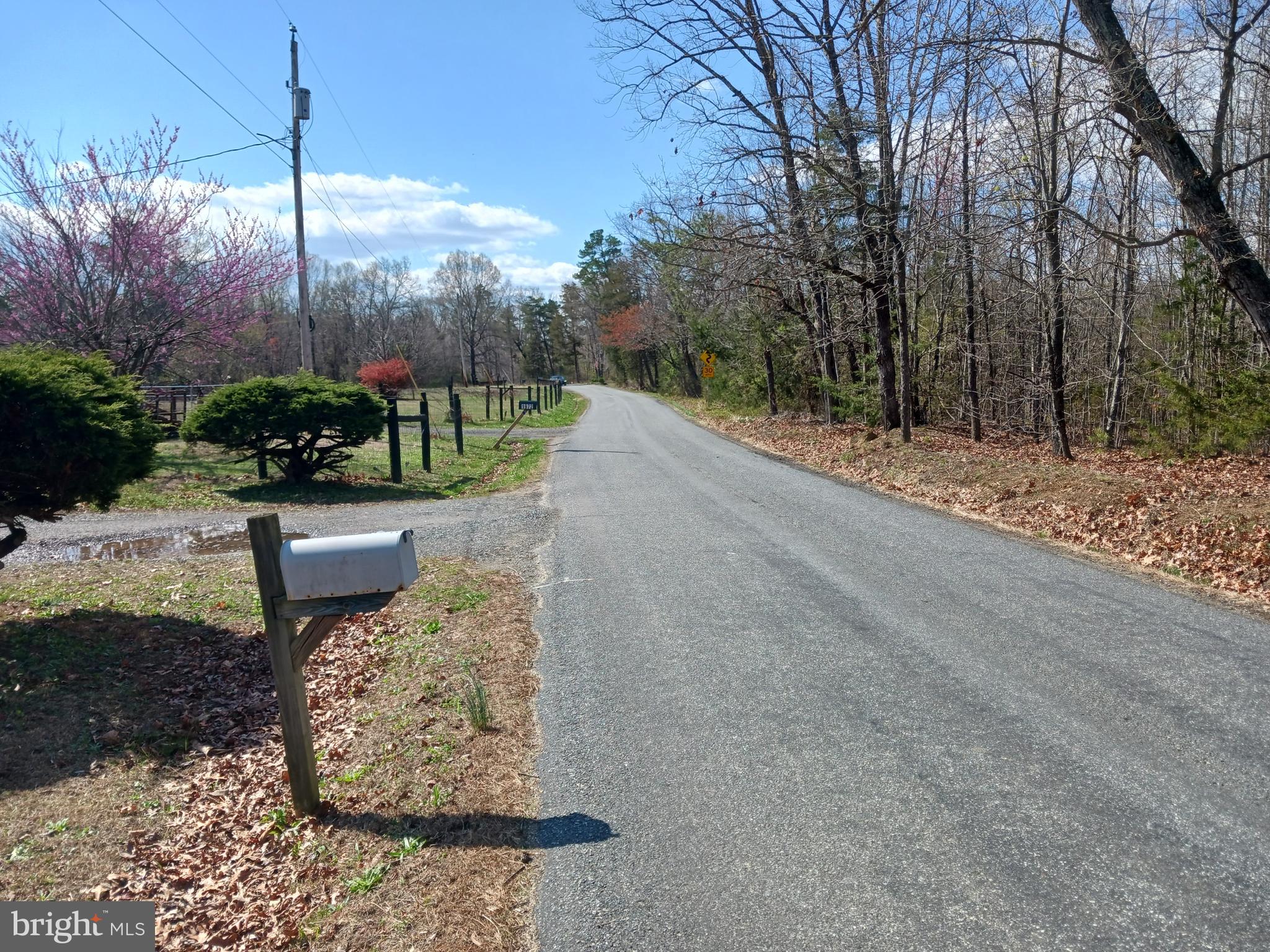 2004 Twymans Mill Road Madison, VA 22727 - Photo 4 of 24 a view of a backyard with pathway