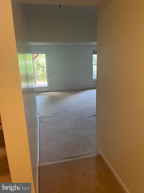 604 Quaker Ridge Court Arnold, MD 21012 - Photo 10 of 14 Basement with walkout
