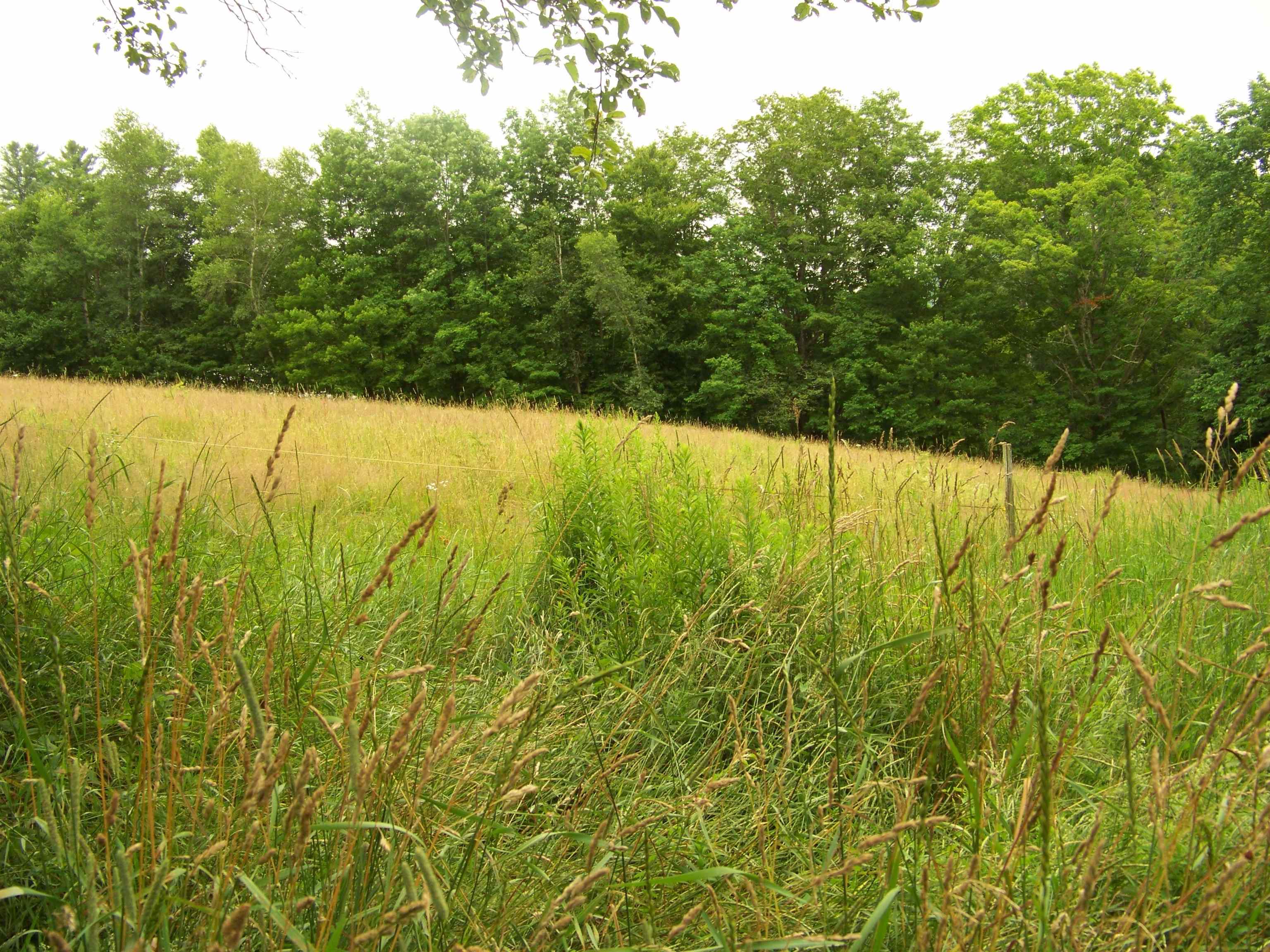 340 Upper Michigan Road Pittsfield, VT 05762 - Photo 6 of 18 Gallery Image 6
