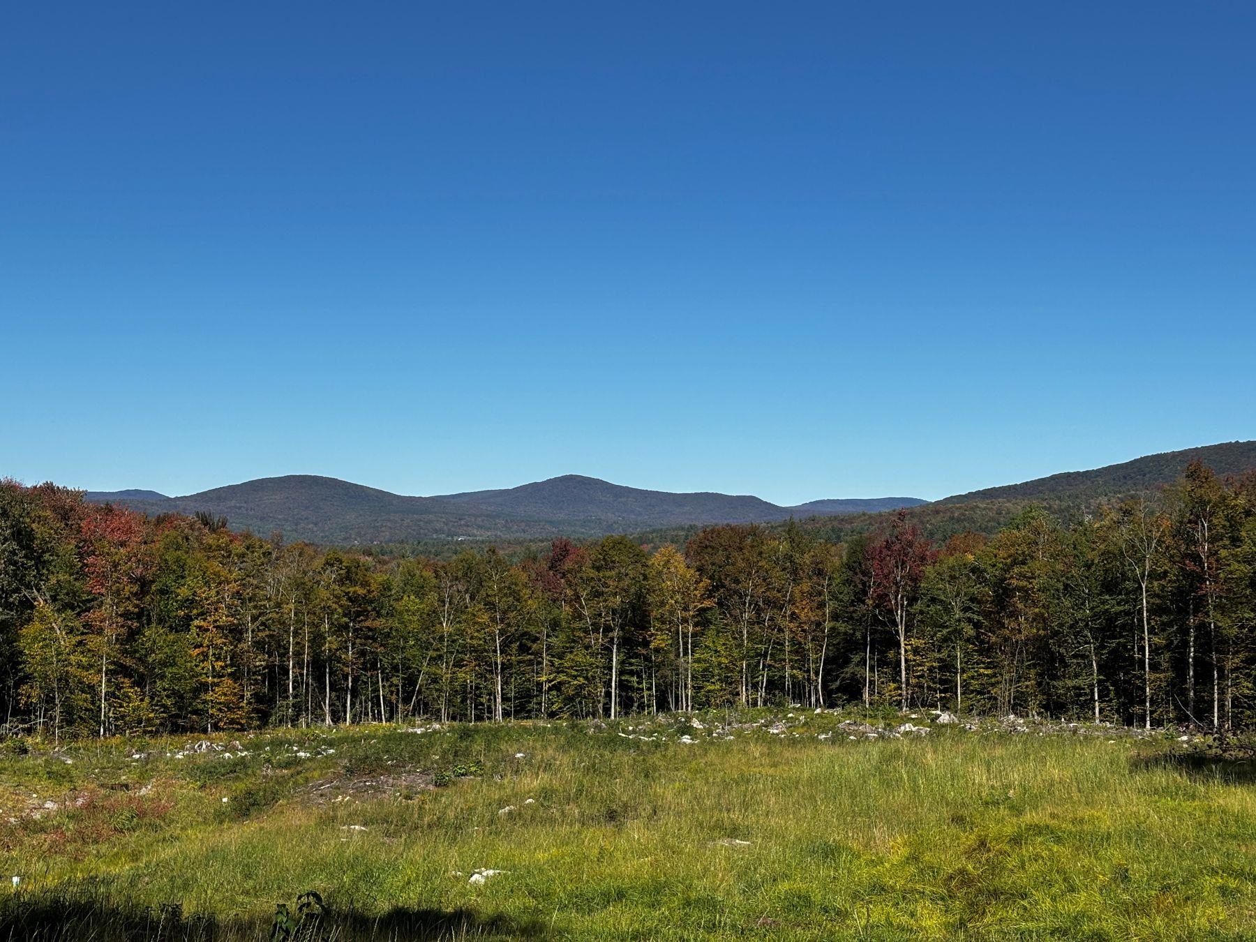 0 Little Pond Road Andover, VT 05143 - Photo 20 of 28 Gallery Image 20