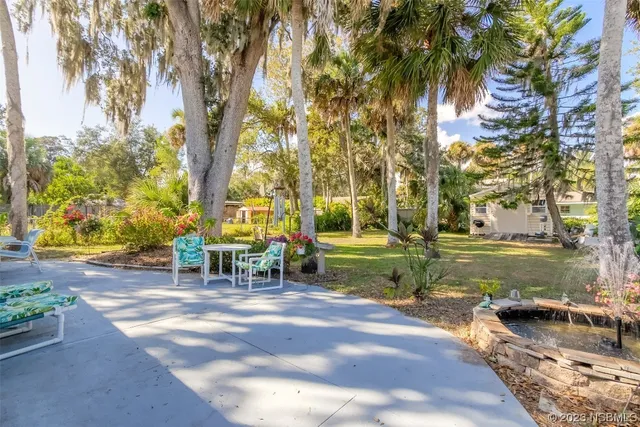 a view of a park with large trees