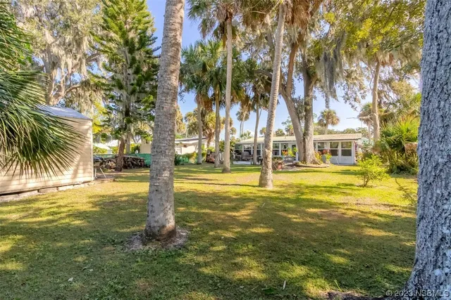a view of an ocean with palm trees
