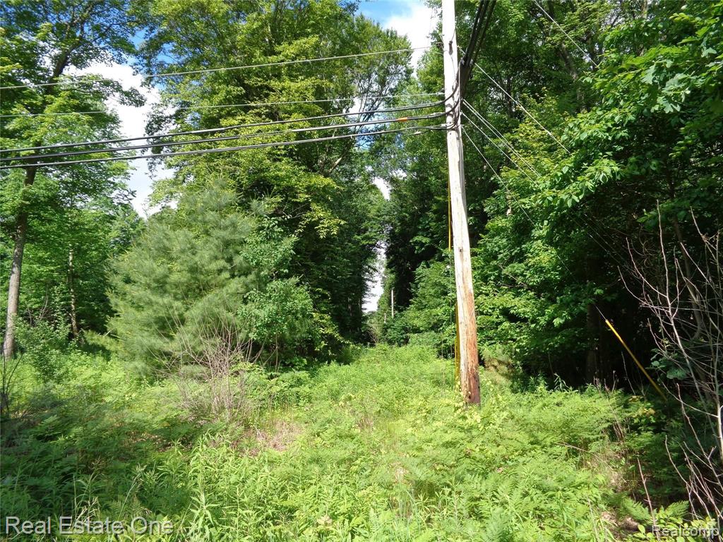 0 South Baldwin Road Clarkston, MI 48348 - Photo 23 of 30