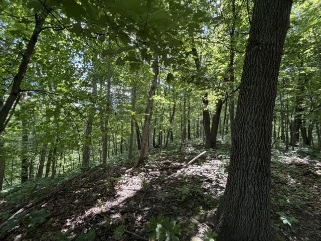 35537 Log House Lane Prairie du Chien, WI 53821 - Photo 28 of 36