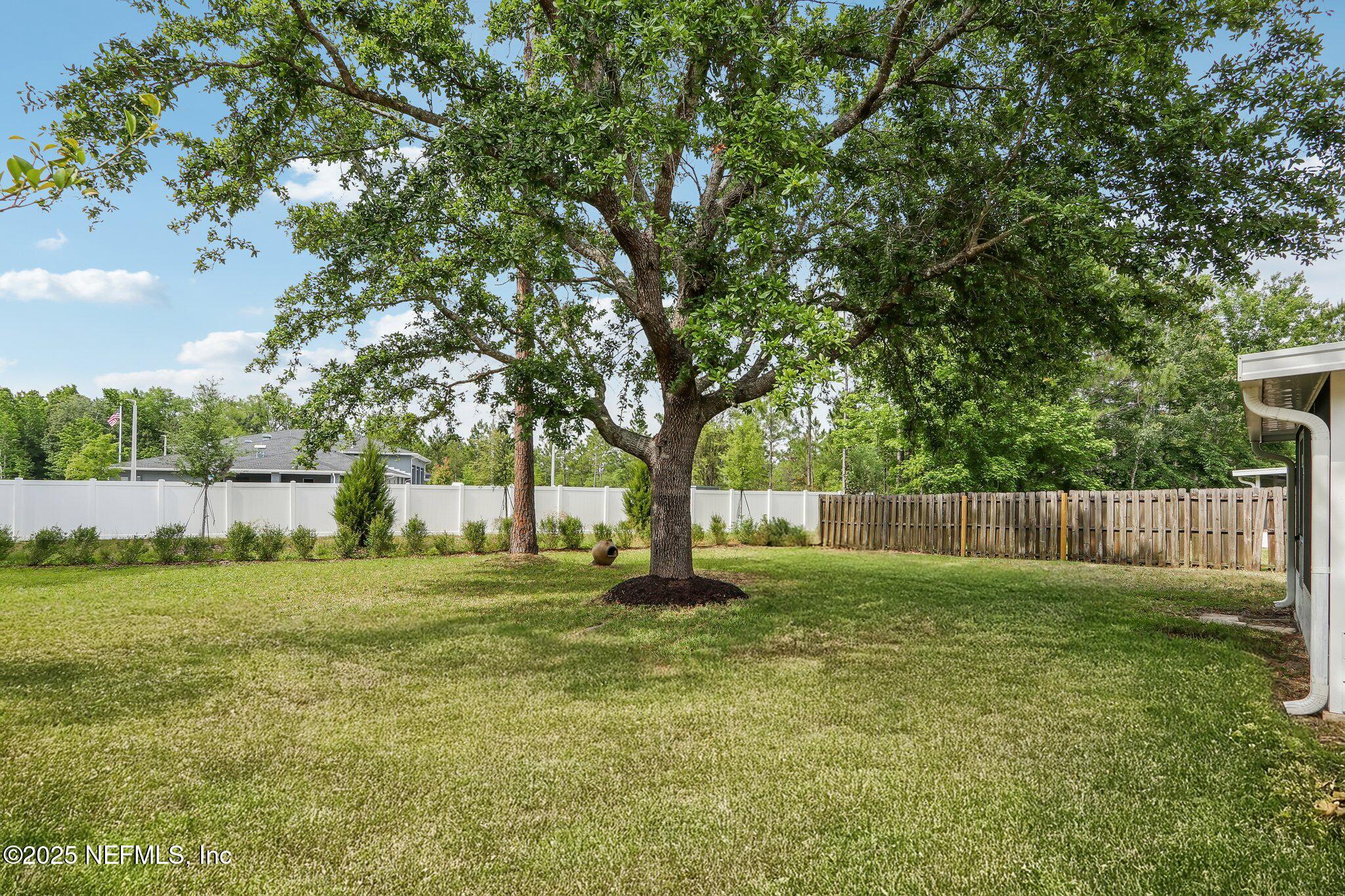 76391 Longleaf Loop Yulee, FL 32097 - Photo 43 of 58 BAck yard 5