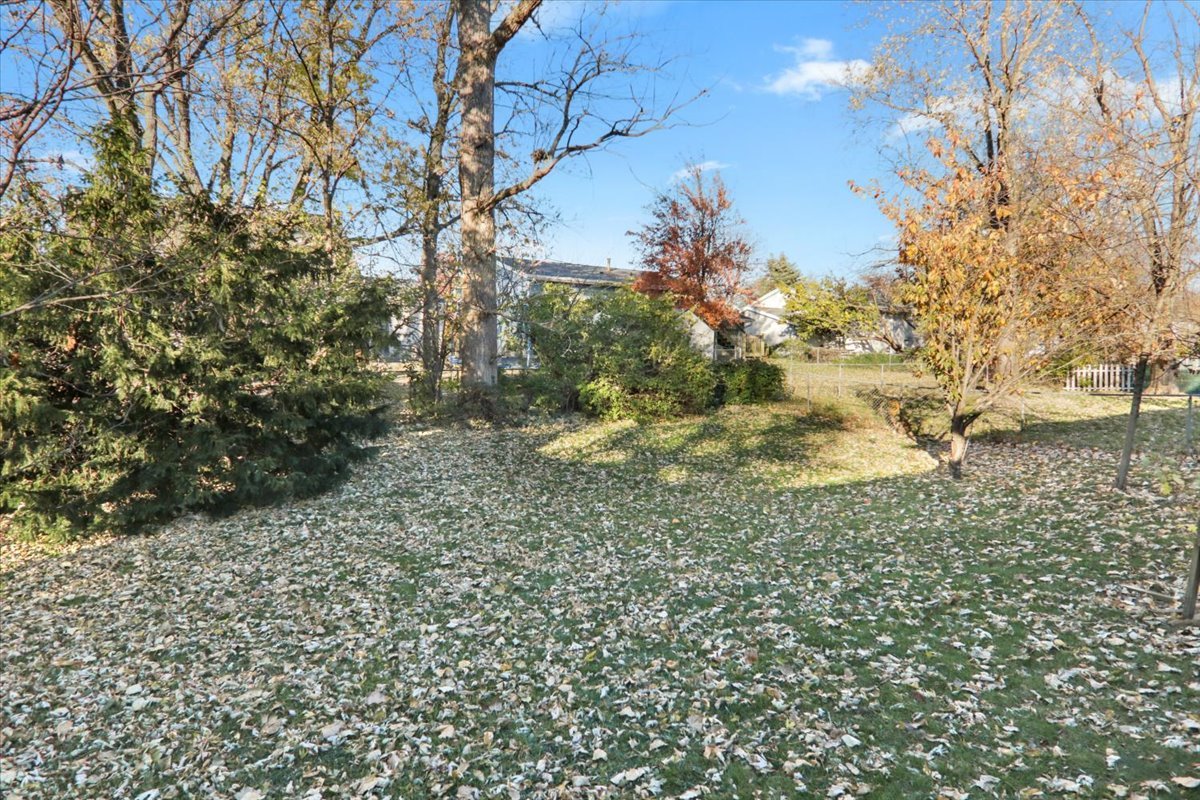 1720 Johnson Drive Normal, IL 61761 - Photo 23 of 23 a view of a yard with large trees