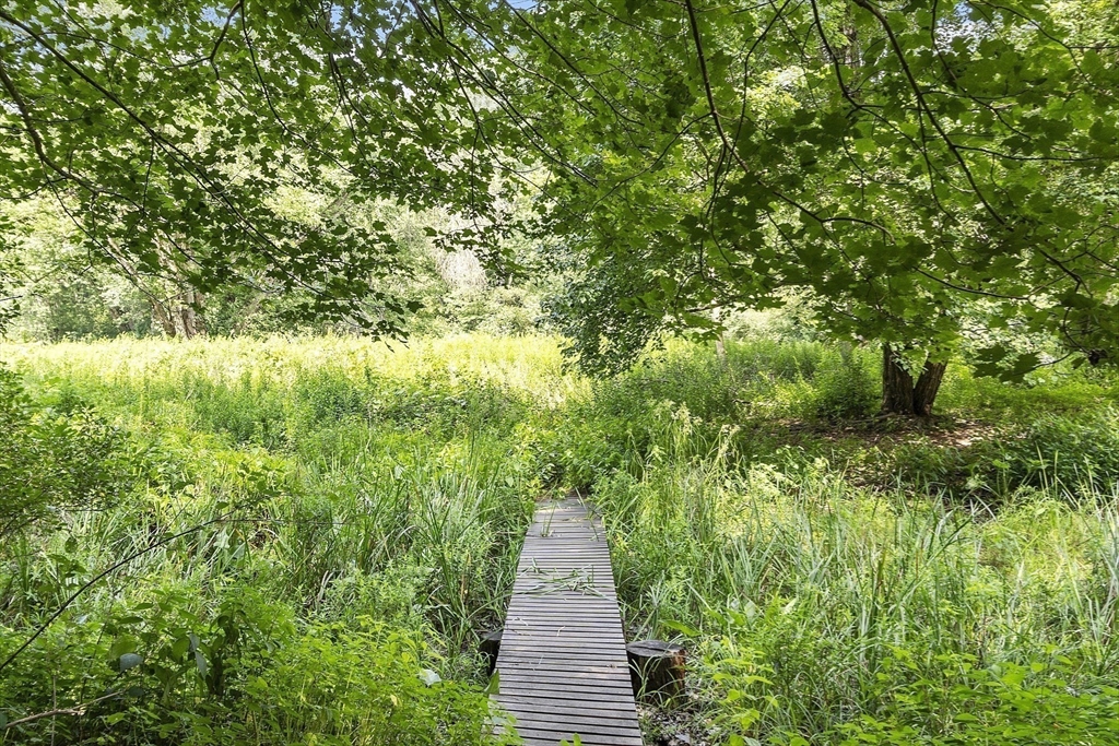 39 Winslow Street Concord, MA 01742 - Photo 15 of 22 a pathway of a yard