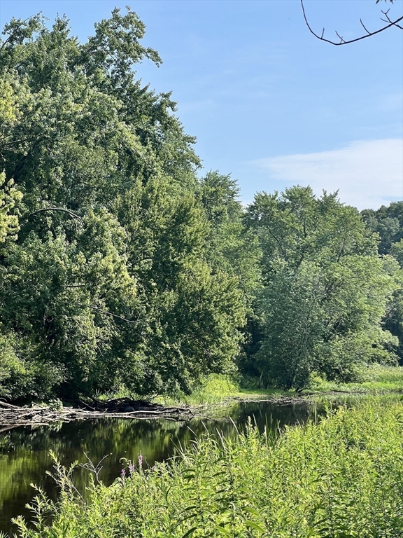 39 Winslow Street Concord, MA 01742 - Photo 18 of 22 a view of a lake with a yard