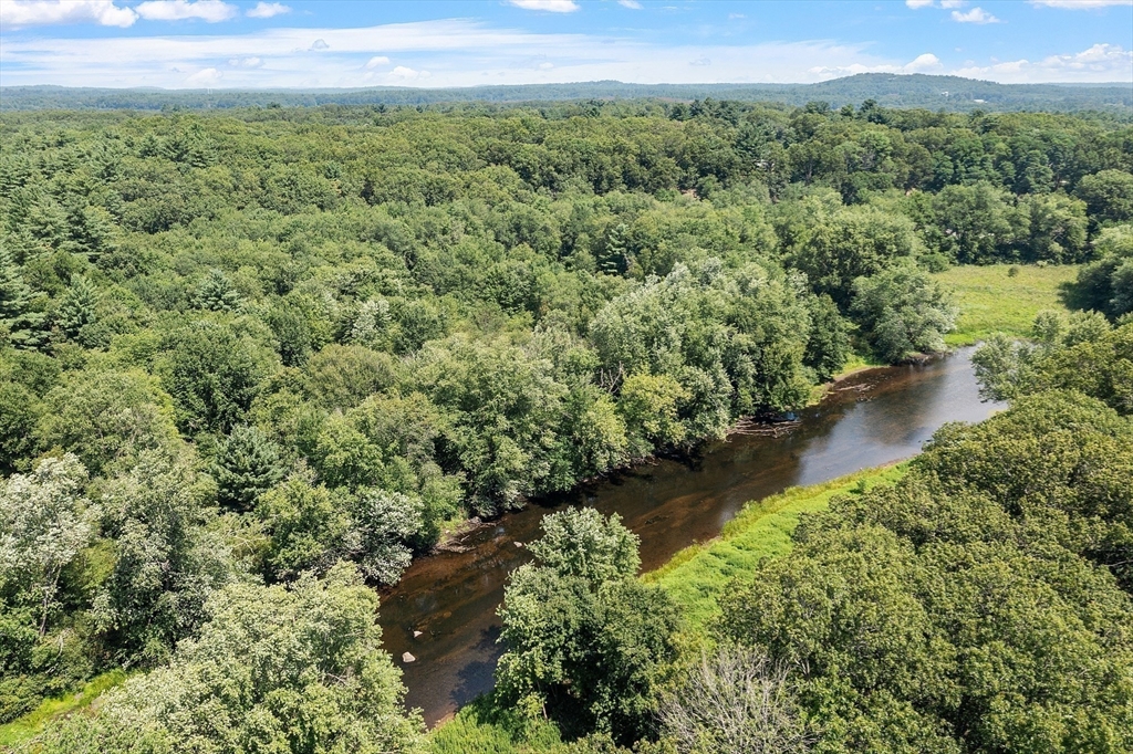 39 Winslow Street Concord, MA 01742 - Photo 20 of 22 a view of a lush green forest with lots of trees