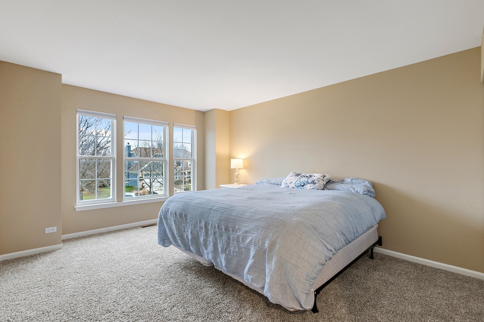 1325 Mulberry Lane Cary, IL 60013 - Photo 15 of 21