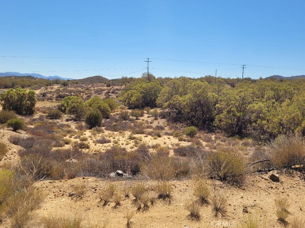 0 Terwilliger Road Anza, CA 92539 - Photo 12 of 23 a view of a dry yard with mountains in the background