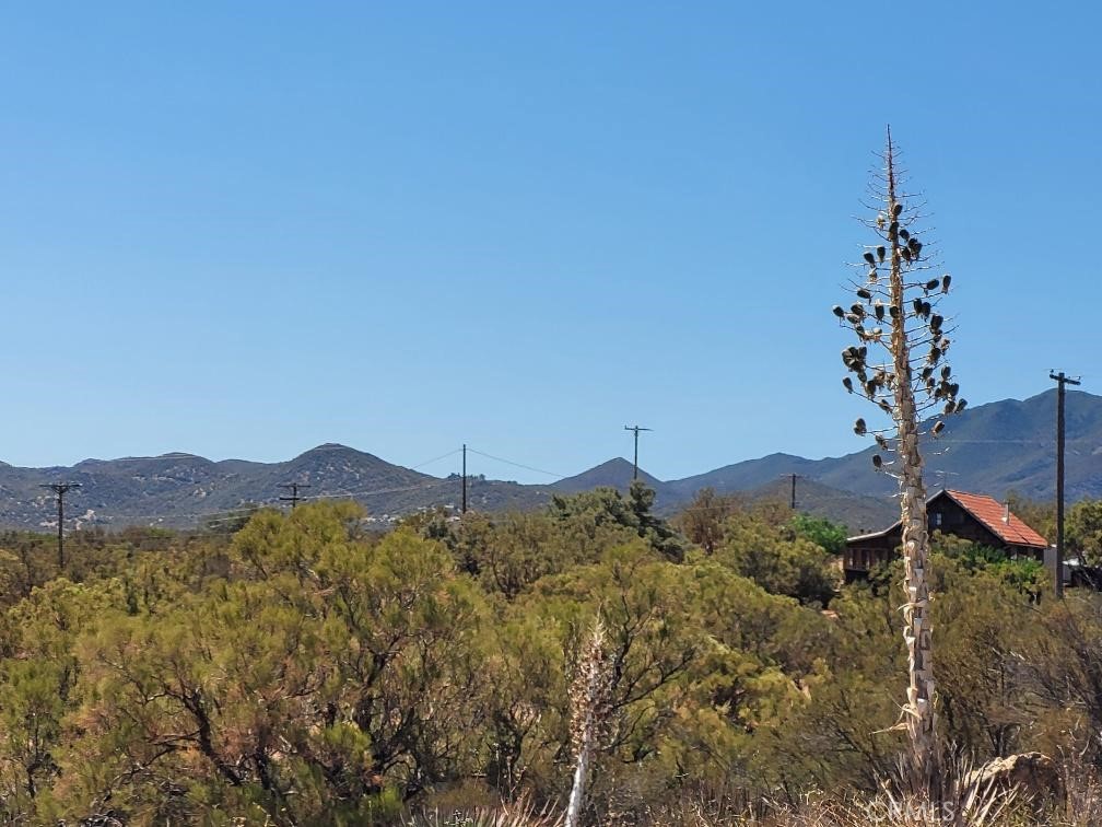 0 Terwilliger Road Anza, CA 92539 - Photo 14 of 23 a view of a mountain