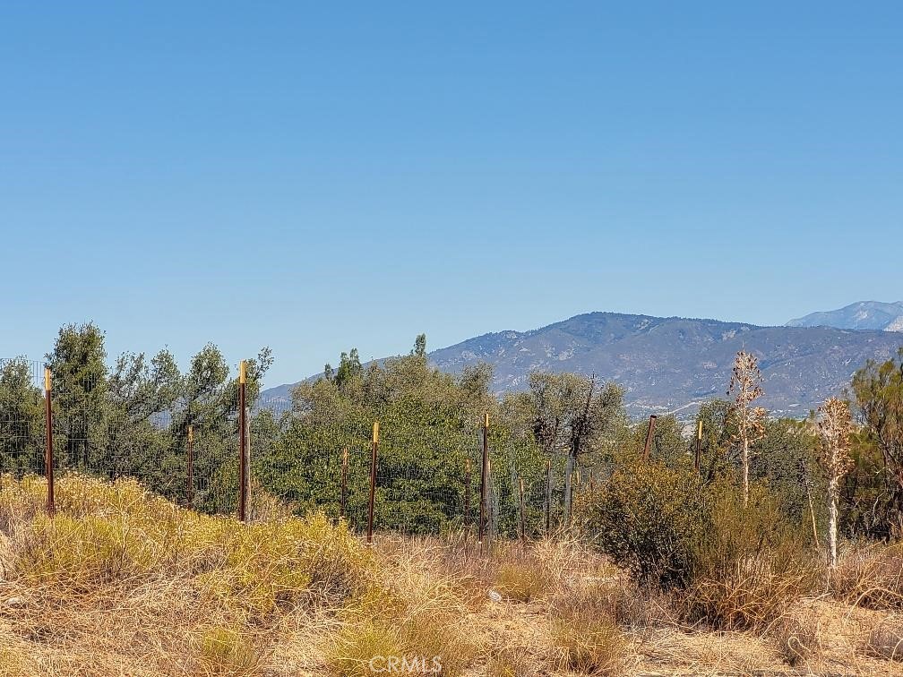 0 Terwilliger Road Anza, CA 92539 - Photo 16 of 23 a view of a yard with a mountain