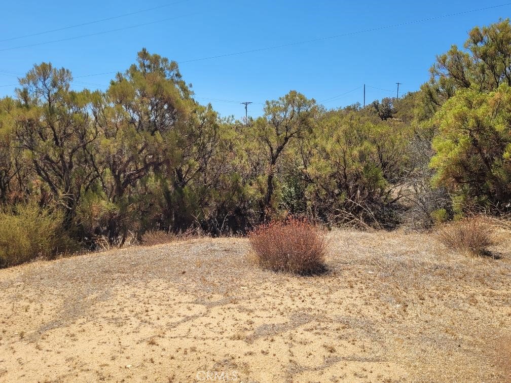 0 Terwilliger Road Anza, CA 92539 - Photo 4 of 23 a view of outdoor space and yard