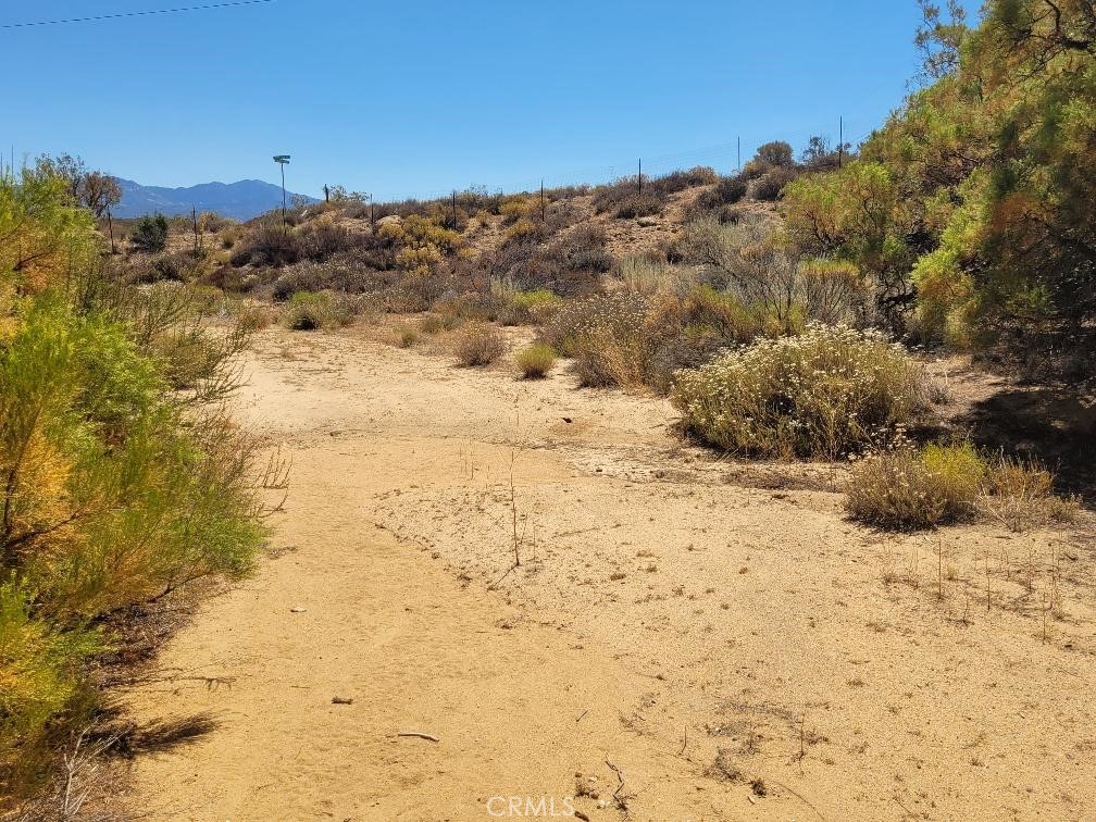 0 Terwilliger Road Anza, CA 92539 - Photo 8 of 23 a view of a yard with snow on the road