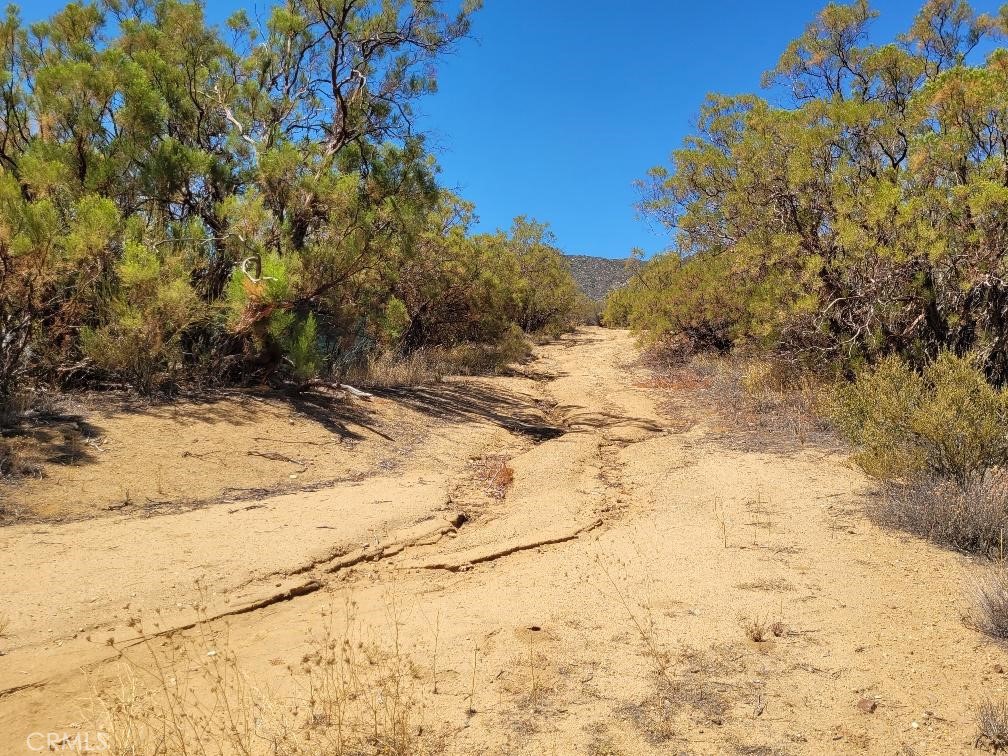 0 Terwilliger Road Anza, CA 92539 - Photo 10 of 23 a view of a yard covered in snow