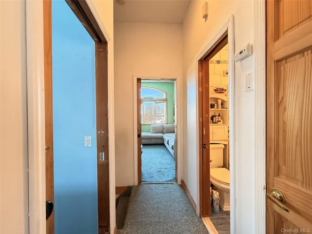 a view of a hallway with toilet and entryway