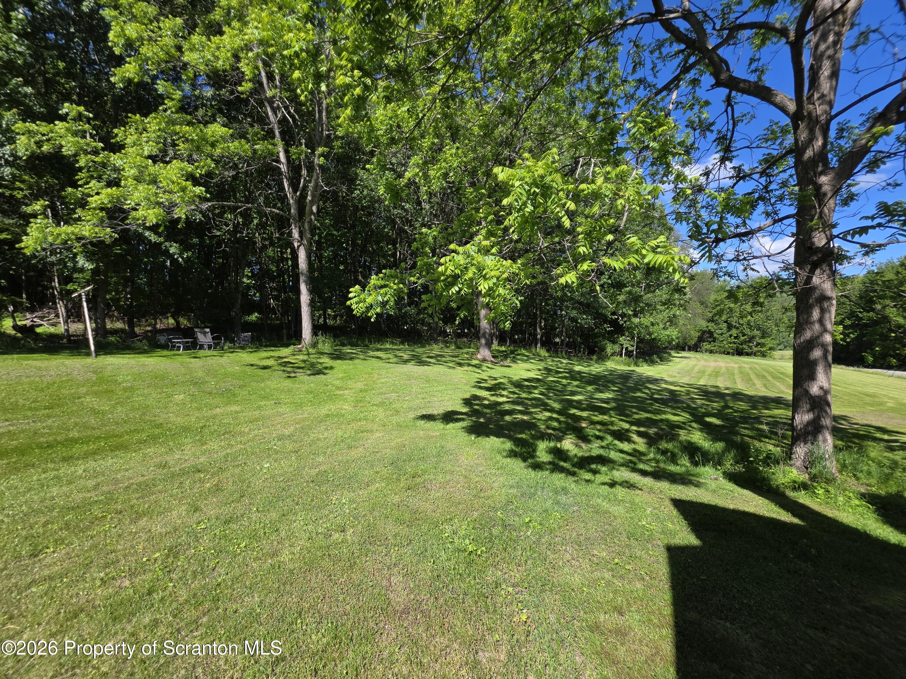 1333 Blue Berry Road Falls, PA 18615 - Photo 42 of 50 Yard