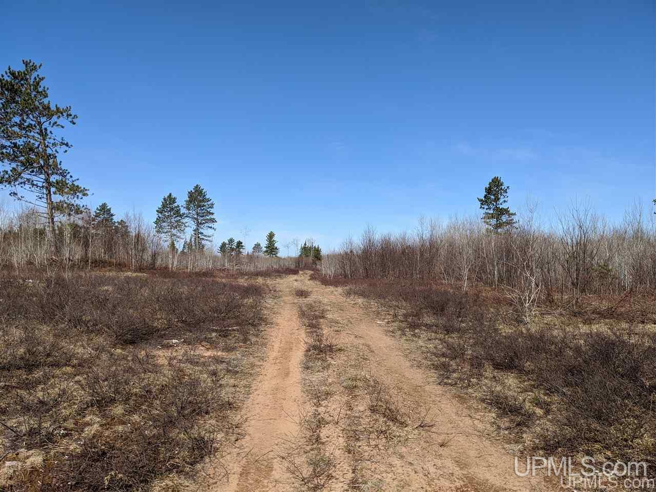 3 Little Bull Road Crystal Falls, MI 49920 - Photo 1 of 9