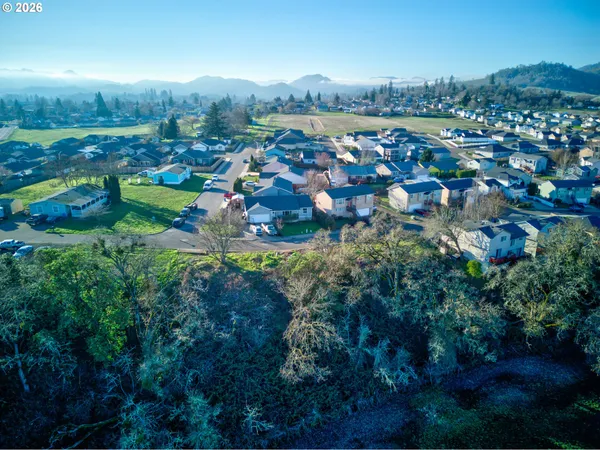 $22,500 | 111 Lebleu Lane, Winston, OR 97496