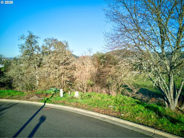 $22,500 | 111 Lebleu Lane, Winston, OR 97496