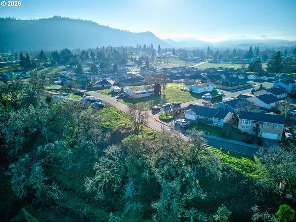 $22,500 | 111 Lebleu Lane, Winston, OR 97496