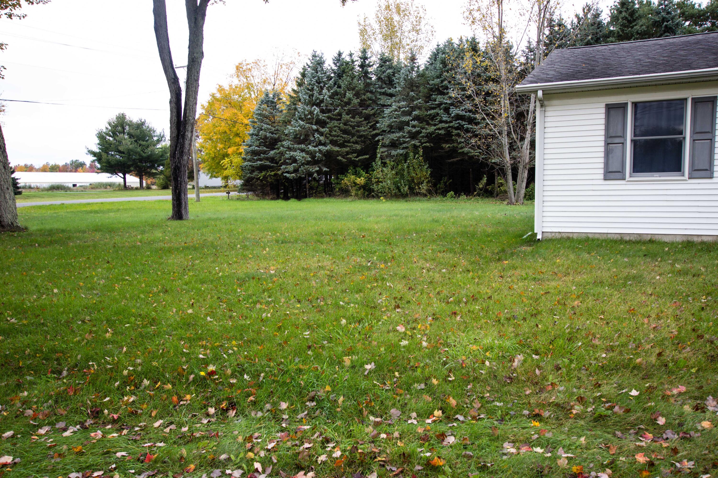 4131 Fikes Road Coloma, MI 49038 - Photo 20 of 22 IMG_7637